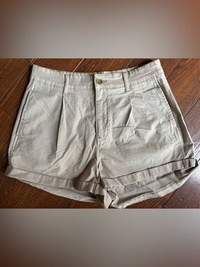 American Eagle Outfitters Light Khaki pleated Shorts 10